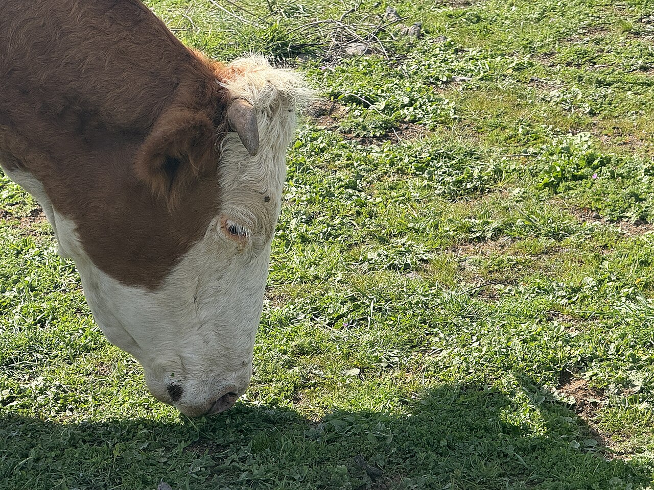 Naturkosmetik‑Siegel verstehen – Leitfaden für Einkauf & Sortimentsverantwortliche