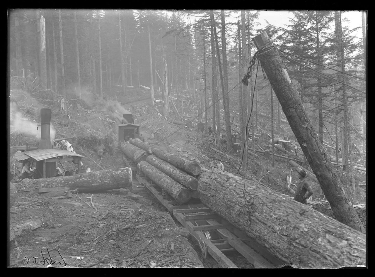Niedersächsische Landesforsten zertifizieren nachhaltige Waldbewirtschaftung