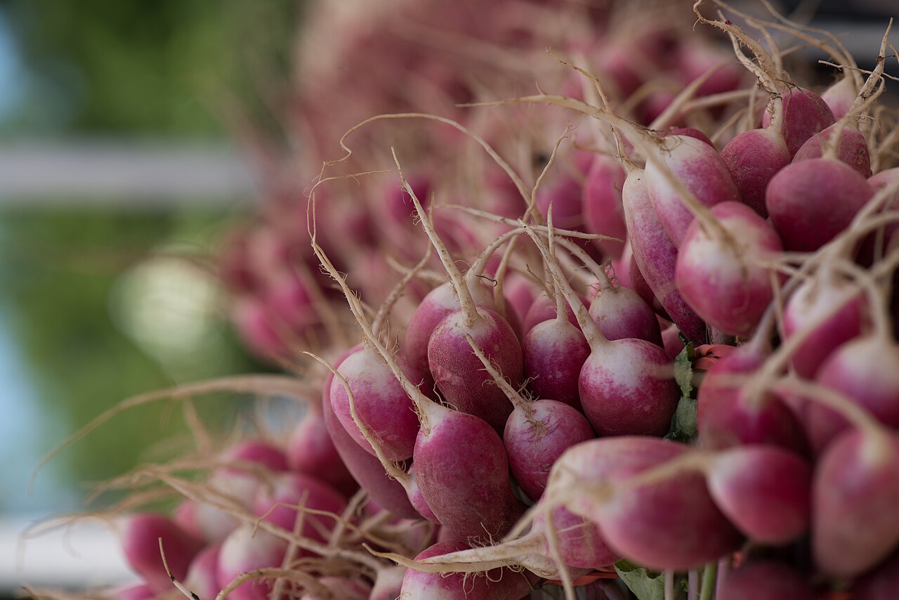 Regionalvermarktung im Handel mit Naturprodukten: Praxisleitfaden