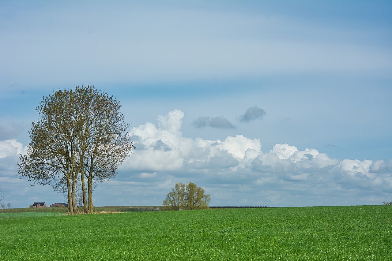 Rückstandsanalytik im Naturkost‑Handel – Praxisleitfaden für Einkauf und