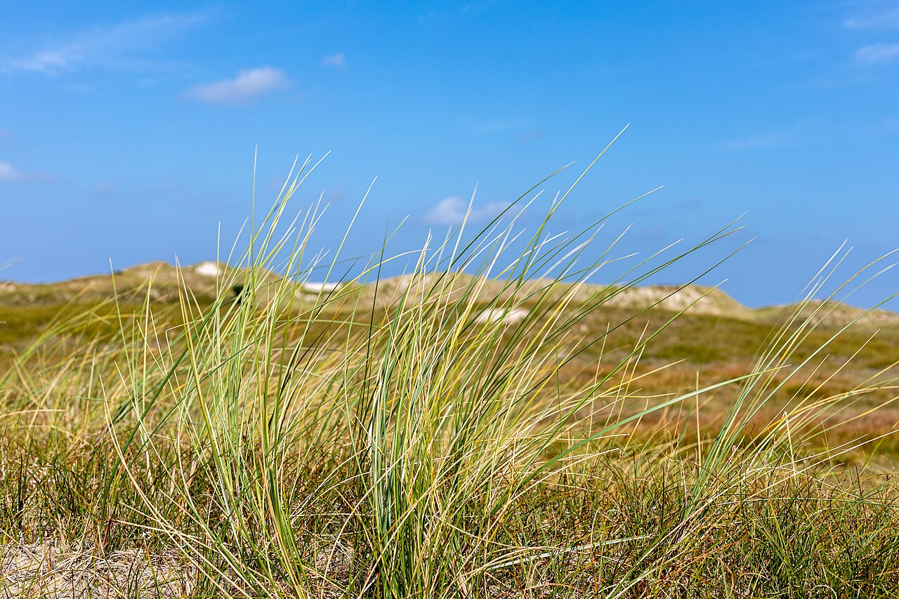Sonne und 27 °C in Niedersachsen – Wetterwechsel ab Mittwoch erwartet