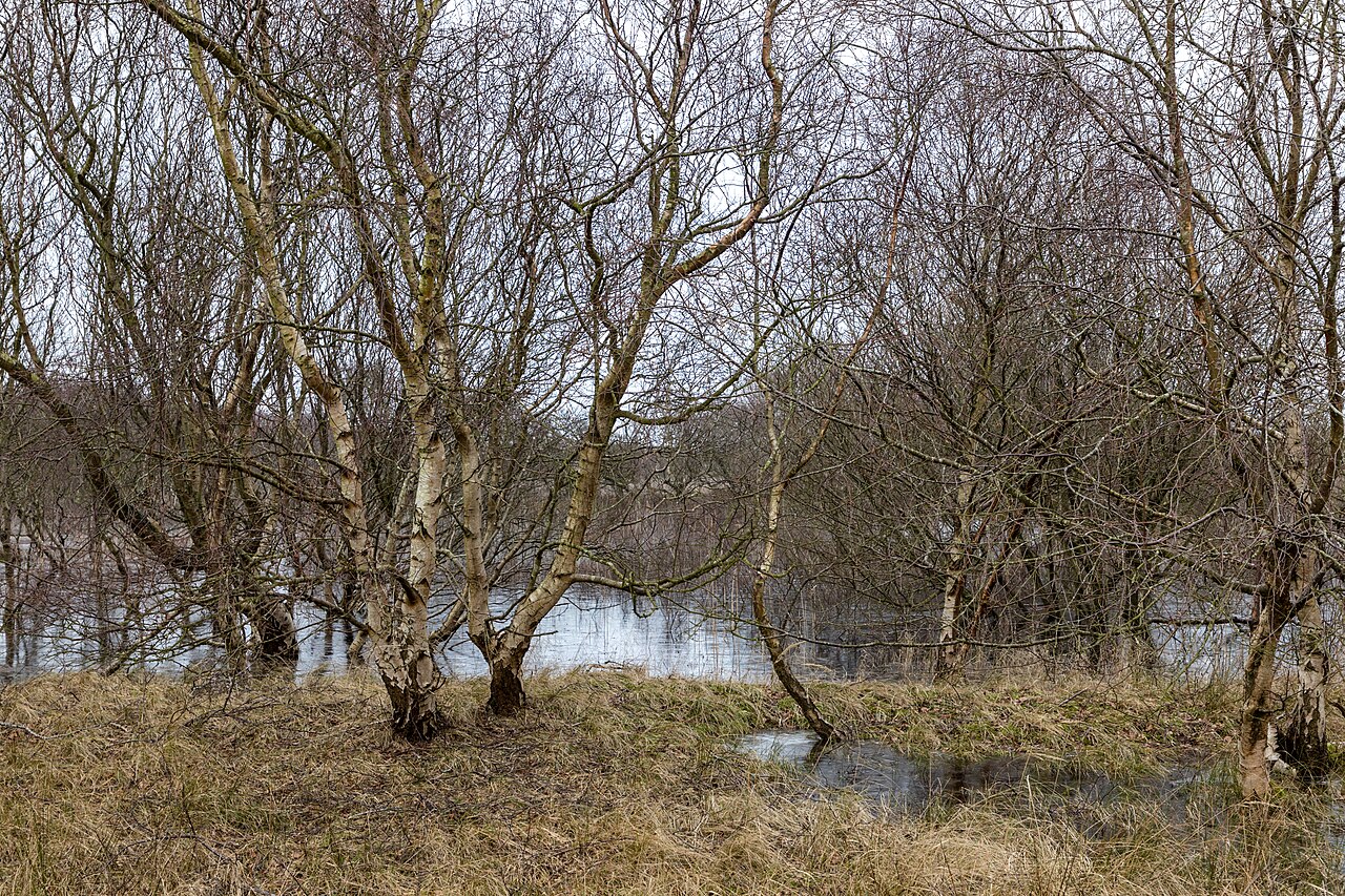 Steinhuder Meer lockt Besucher zum Wandern, Radfahren und Wassersport